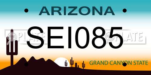 SEI085 Arizona License Plate