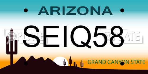 SEIQ58 Arizona License Plate