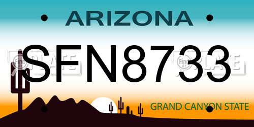 SFN8733 Arizona License Plate