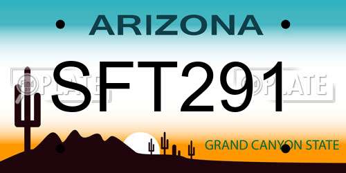 SFT291 Arizona License Plate
