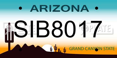 SIB8017 Arizona License Plate