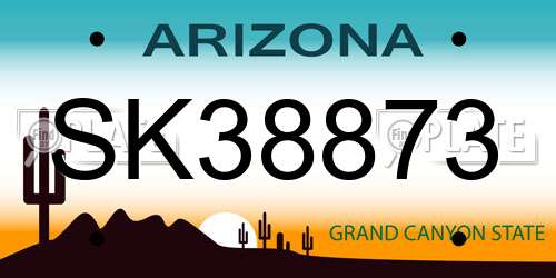 SK38873 Arizona License Plate
