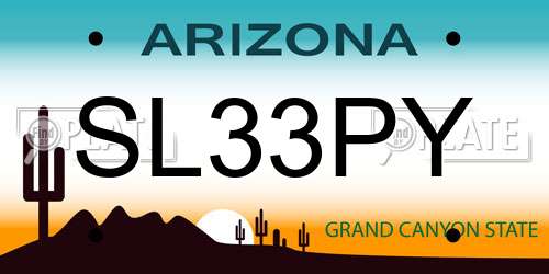 SL33PY Arizona License Plate