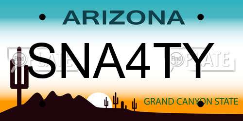 SNA4TY Arizona License Plate