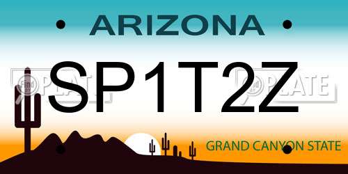 SP1T2Z Arizona License Plate