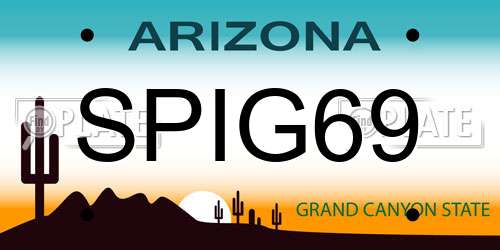 SPIG69 Arizona License Plate