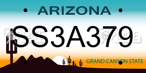 SS3A379 Arizona License Plate