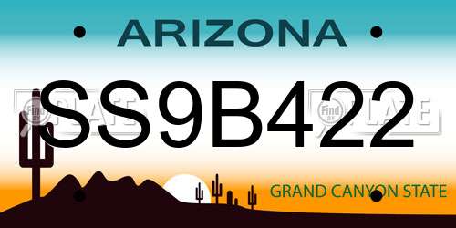 SS9B422 Arizona License Plate