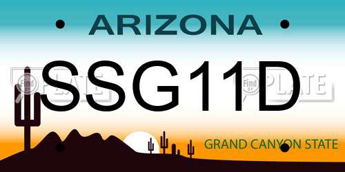SSG11D Arizona License Plate