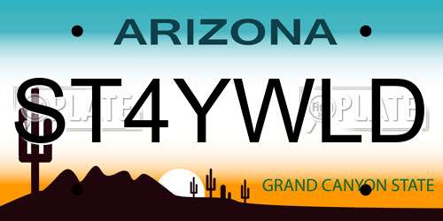 ST4YWLD Arizona License Plate