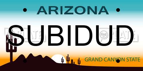 SUBIDUD Arizona License Plate