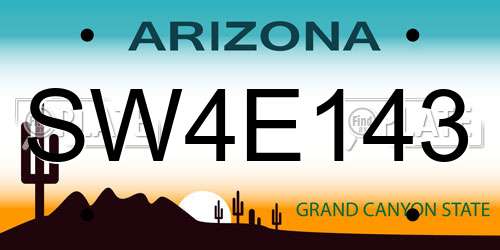 SW4E143 Arizona License Plate
