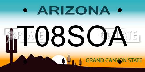 T08SOA Arizona License Plate