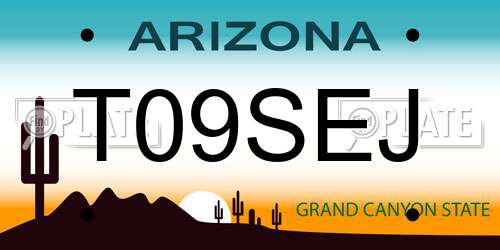 T09SEJ Arizona License Plate
