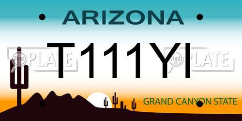 T111YI Arizona License Plate