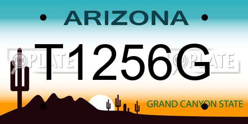T1256G Arizona License Plate