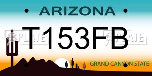 T153FB Arizona License Plate
