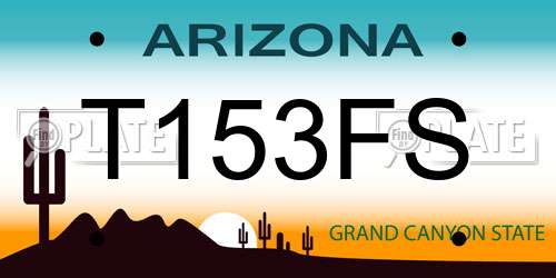 T153FS Arizona License Plate