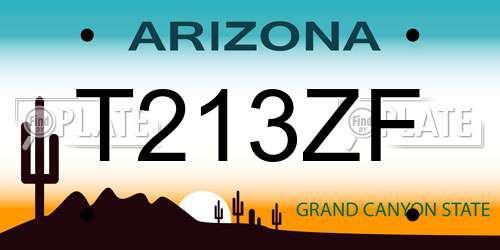T213ZF Arizona License Plate
