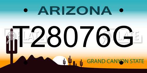 T28076G Arizona License Plate
