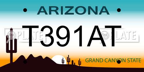 T391AT Arizona License Plate