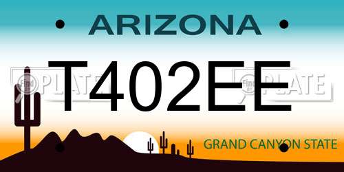 T402EE Arizona License Plate