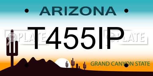 T455IP Arizona License Plate