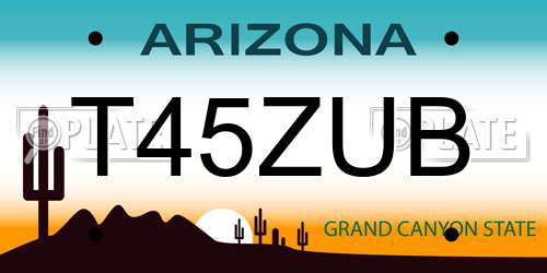 T45ZUB Arizona License Plate