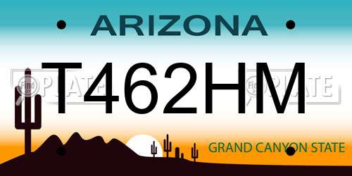 T462HM Arizona License Plate