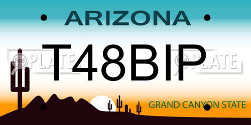 T48BIP Arizona License Plate