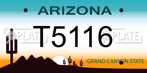 T5116 Arizona License Plate