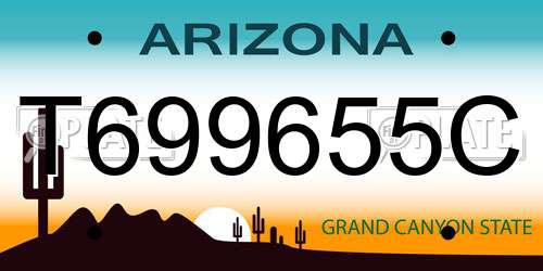T699655C Arizona License Plate
