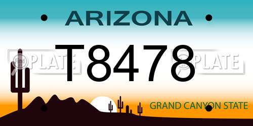 T8478 Arizona License Plate