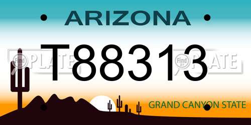 T88313 Arizona License Plate