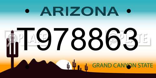 T978863 Arizona License Plate
