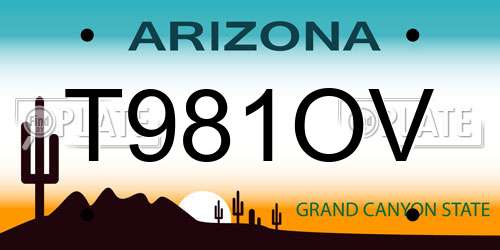 T981OV Arizona License Plate