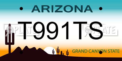 T991TS Arizona License Plate