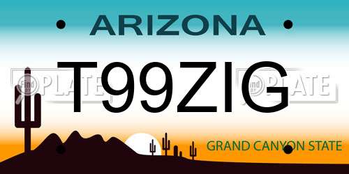 T99ZIG Arizona License Plate