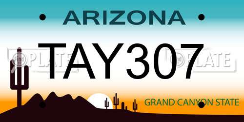 TAY307 Arizona License Plate