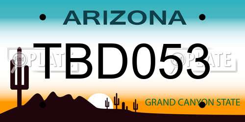TBD053 Arizona License Plate
