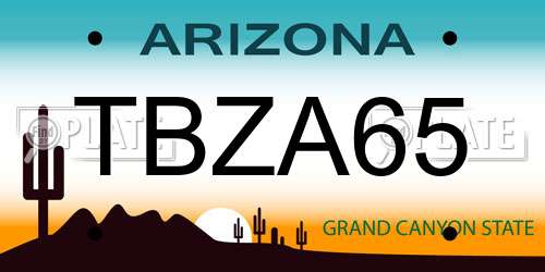 TBZA65 Arizona License Plate