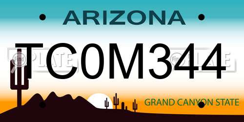 TC0M344 Arizona License Plate