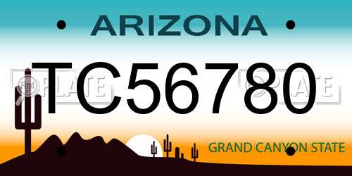 TC56780 Arizona License Plate