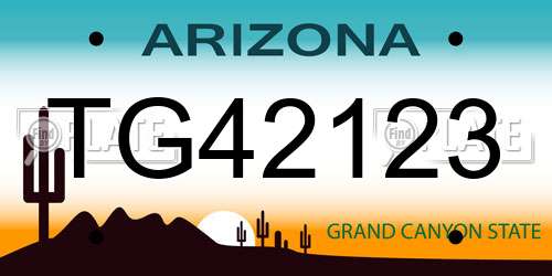 TG42123 Arizona License Plate