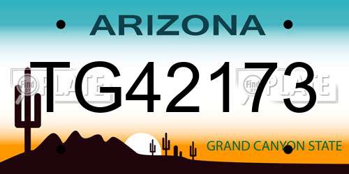 TG42173 Arizona License Plate