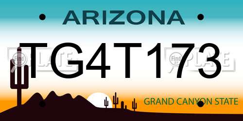 TG4T173 Arizona License Plate