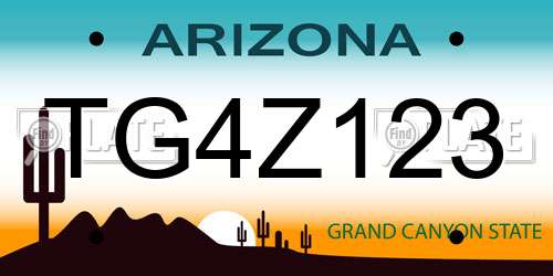 TG4Z123 Arizona License Plate