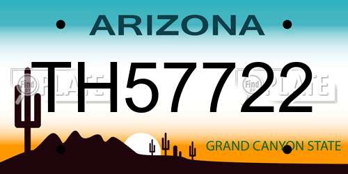 TH57722 Arizona License Plate