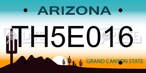 TH5E016 Arizona License Plate