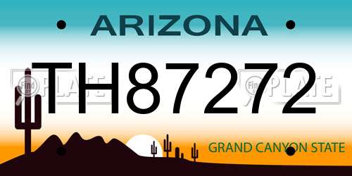 TH87272 Arizona License Plate